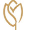 Widget Image