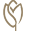 Widget Image